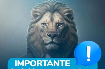 IMPOSTO DE RENDA - 2024 