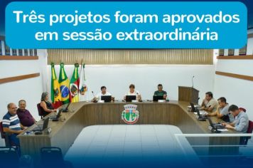 Primeira sessão extraordinária de 2024